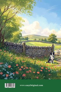 Border Collie Country (+ Audio-CD) - Englisch lernen mit lustigen Kurzgeschichten (A2-B1) achterzijde