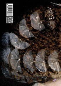 Los empeños de una casa achterzijde