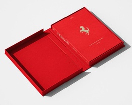 Ferrari achterzijde