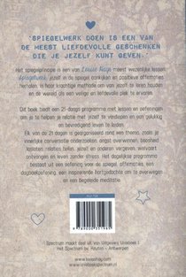 Spiegelwerk achterzijde