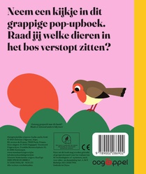 Verstoppertje in het bos! achterzijde