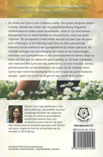 Licht op Lyme achterzijde