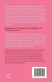 Psoas, De spier van de ziel achterzijde