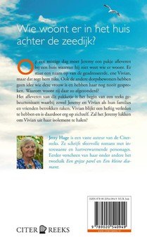 Het huis achter de zeedijk achterzijde