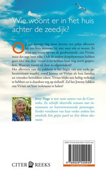 Het huis achter de zeedijk achterzijde