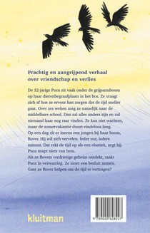 De zomer die alles was achterzijde