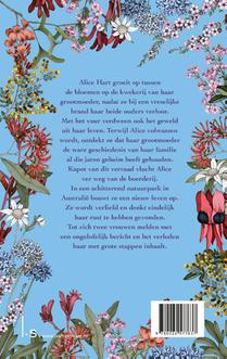 Het verhaal van Alice Hart achterzijde