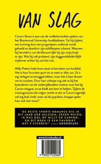 Van slag achterzijde