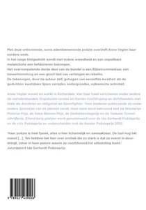 Eiland berg gletsjer achterzijde