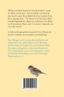Scherven brengen geluk achterzijde