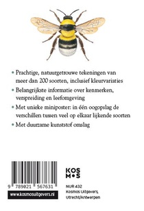 Insecten achterzijde