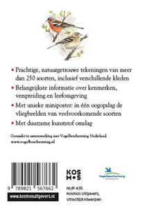 Vogels achterzijde