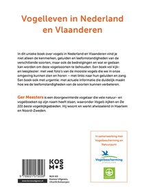 Vogels in de lage landen achterzijde