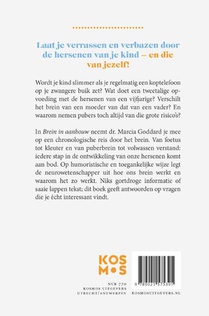 Brein in aanbouw achterzijde