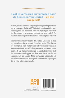 Brein in aanbouw achterzijde