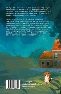 Het raadsel van de verdwenen ring achterzijde