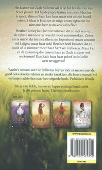 Deel 5 in de Sullivan-serie achterzijde