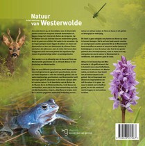 Natuur in het landschap van Westerwolde achterzijde