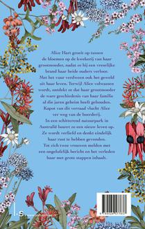 Het verhaal van Alice Hart achterzijde