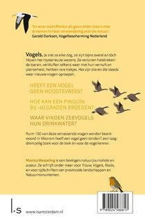 Waarom heeft een vogel geen tanden? achterzijde