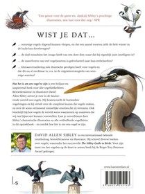 Hoe het is om een vogel te zijn achterzijde
