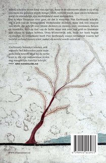 Grondwater achterzijde