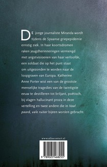 Vaal paard, vale ruiter achterzijde