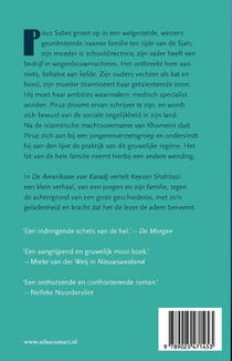 De Amerikaan van Karadj achterzijde