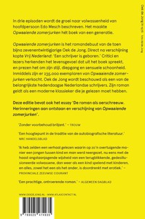 Opwaaiende zomerjurken achterzijde