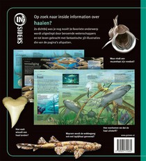 Haaien achterzijde