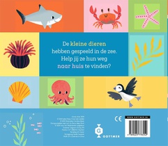 Kom je thuis, kleine haai? achterzijde