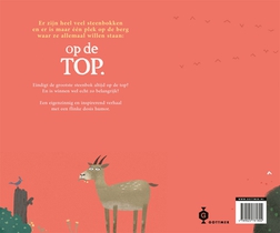 Op de top achterzijde