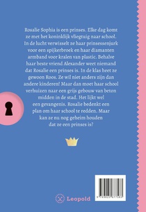 Het geheim van de stoere prinses achterzijde