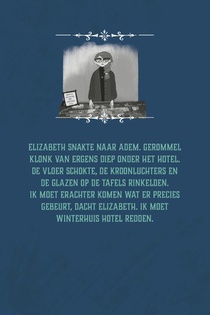 Het mysterie van Winterhuis Hotel achterzijde
