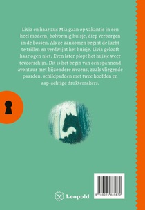 Het geheim van het verdwenen huis achterzijde