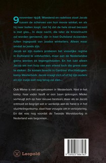 Scherven in de nacht achterzijde