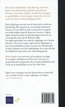 Het vreemdste bijbelboek achterzijde