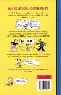 Brokkenpiloot achterzijde