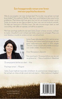 Dwaallicht achterzijde