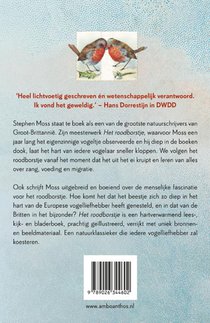 Het roodborstje achterzijde