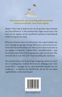 Het winterkoninkje achterzijde