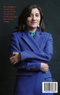 Ik ken een berg die op me wacht achterzijde