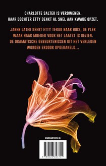 Heeft iemand Charlotte Salter gezien? achterzijde