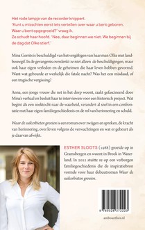 Waar de suikerbieten groeien achterzijde