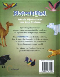 Platenbijbel achterzijde