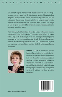 Het oneindige plan achterzijde