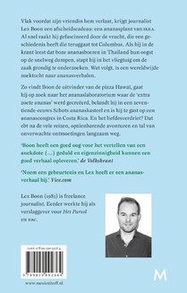 Ananas achterzijde