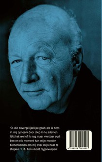 Een vlucht regenwulpen achterzijde