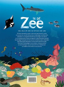 In de zee achterzijde