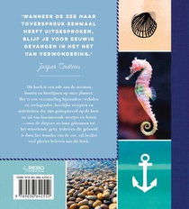 De Zee achterzijde